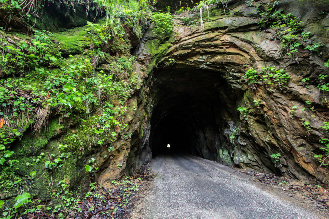 Daniel Boone National Forest